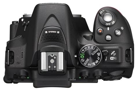 Nikon D5300 vs D5600: Which camera should you buy? | Digital Camera World