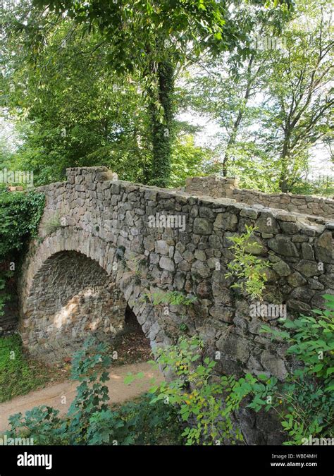 Harzburg castle old stone bridge in green and lush forest, Bad Harzburg ...