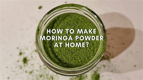 How to Make Moringa Powder at Home | Thinglish Lifestyle