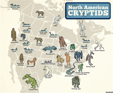 Animals in north america continent | Animal Big