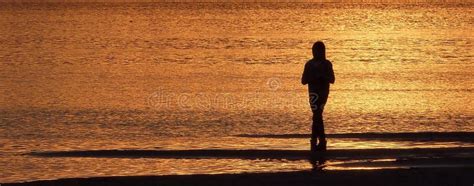 Sunset silhouette stock photo. Image of water, summer - 65459876