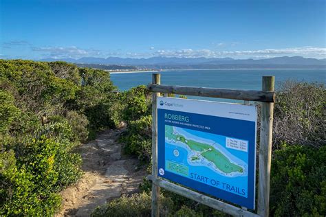 Robberg Nature Reserve - The Wonders of A Coastal Paradise