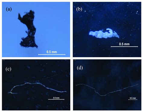 Microplastics isolated in tap water: (a,b) 0001-00; (c,d) 0002-00. | Download Scientific Diagram