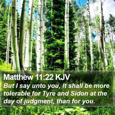 Matthew 11 Scripture Images - Matthew Chapter 11 KJV Bible Verse Pictures