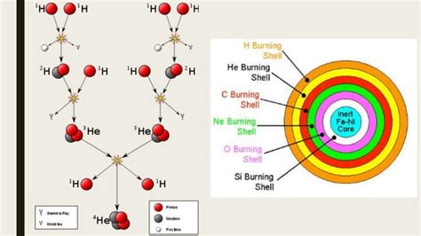 Lesson 2 We Are All Made of Star Stuff (Formation of the Heavy Elements)