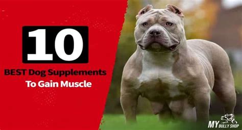 The 10 Best Dog Supplements To Gain Muscle