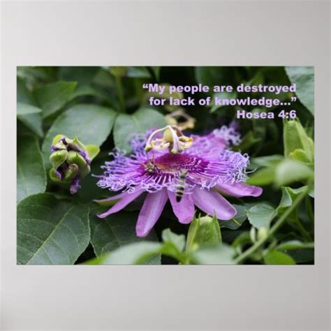 Hosea 4:6 Scripture Poster | Zazzle