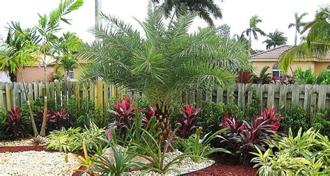 25 Extraordinary Florida Landscaping Ideas You Need To Know – DECOOR ...