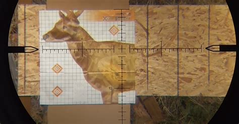 8 Best Aiming Reticles For Hunting Applications