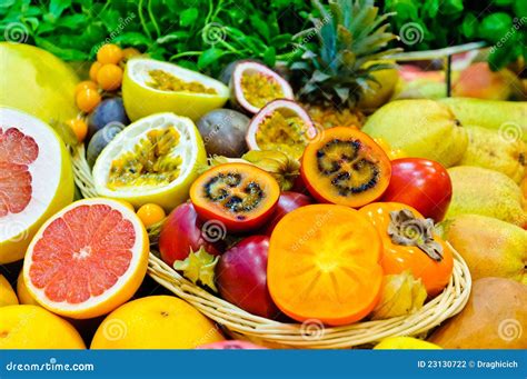 Exotic Fruits Stock Photography - Image: 23130722