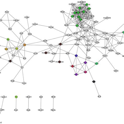 Protein-protein interactions were obtained by the string database ...