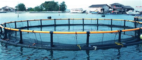 Fish Farming Nets - Nitto Seimo Co., Ltd. as the top manufacturer of ...