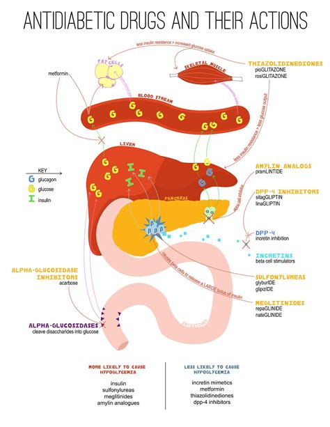 Lovely Bean : Photo | Pharmacology studying, Pharmacology nursing, Pharmacology