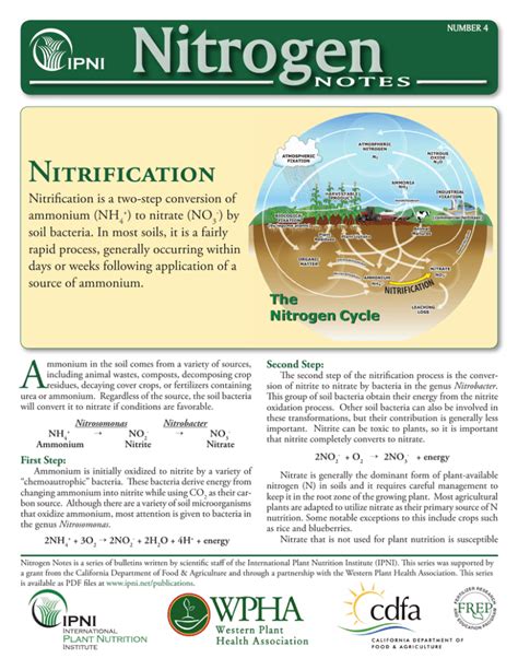 Nitrogen Nitrification