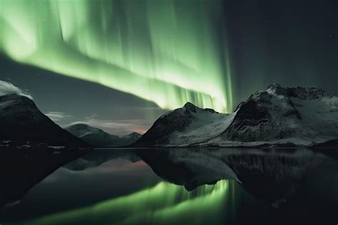 Aurora borealis on the Norway. Green northern lights above mountains. Night sky with polar ...