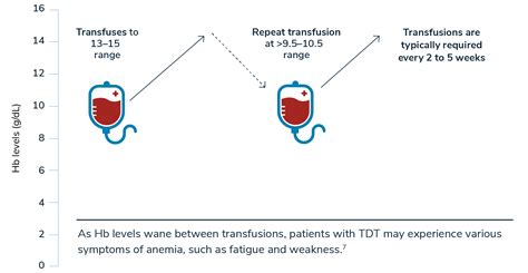 Thalassemia Blood Transfusion