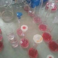 Food Analysis Lab - College Lab