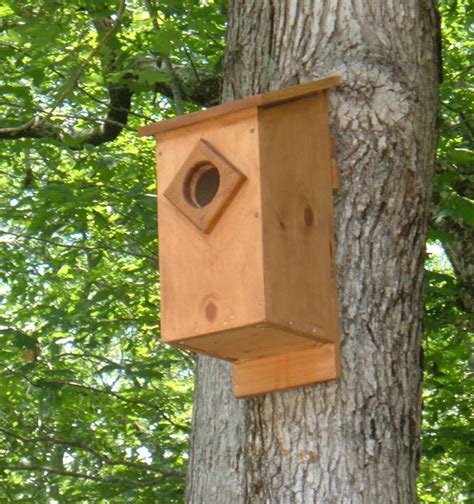 Screech Owl House Plans: How to Build a Screech Owl Box - FeltMagnet