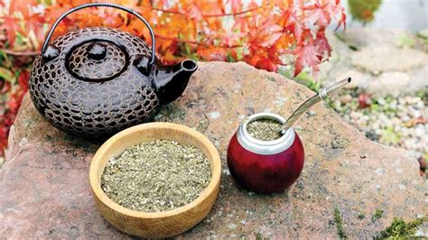 Yerba Mate Tea