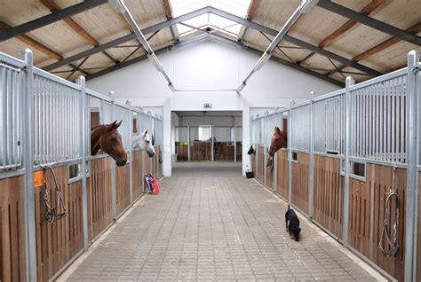 Horse Stables and Stalls ~ What’s The Difference? | EquiMed - Horse ...