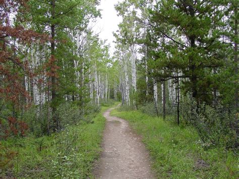 Calculated Risk: Hiking Trail near Jasper, Alberta, Canada