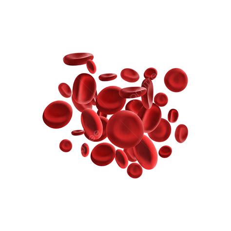 Blood Cells Illustration, Blood Cells, Blood, Illustration PNG and Vector with Transparent ...