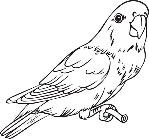 Parrot on a branch. Handmade drawing in black and white. For colouring books and your books ...