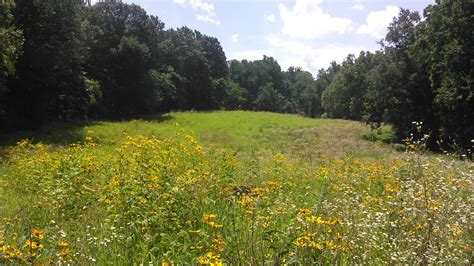 Virginia Wildlife Habitat Cooperative - Center for Natural Capital