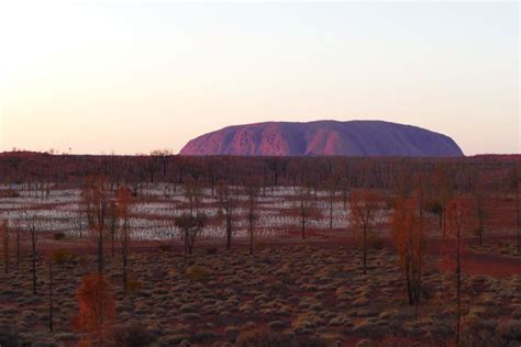 Uluru Field of Light - Why you Should Experience the Magic