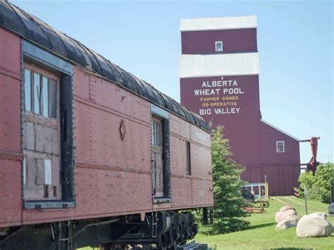 Village of Big Valley council feels animal control rules too vague - The Stettler Independent