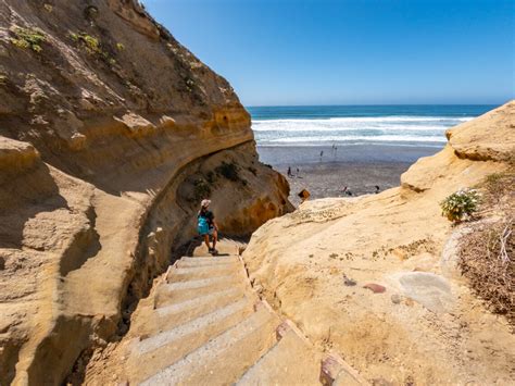 Are Dogs Allowed At Torrey Pines Hike