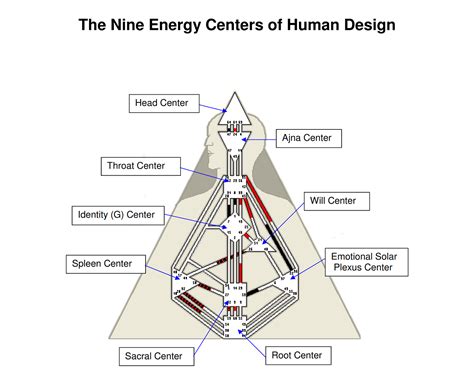 Human design chart explained - ropotqskin