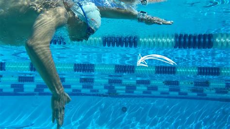 Beginner Sprint Triathlon Swim Workouts | EOUA Blog