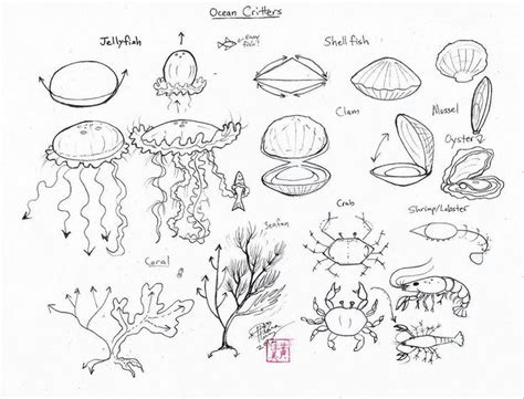 comment dessiner Attirer plus de mer bestioles par Diana Huang sur ...