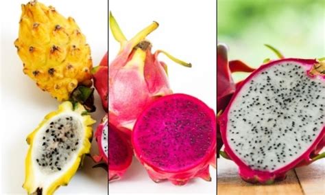 Here's All The Dragon Fruit Types Out There - Foodiosity