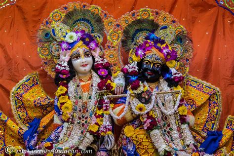 ISKCON Vrindavan - Sri Sri Krishna Balaram | Radha krishna images ...