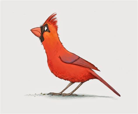 Cardinal Bird Drawing at GetDrawings | Free download