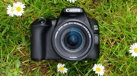 Best Canon Camera For Beginners - If you have a little more money to ...