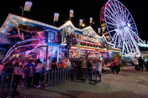 Antelope Valley Fair 2014 - Lancaster, CA | Valley fair, California poppy, Lancaster