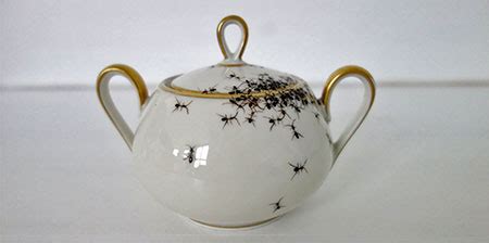 Porcelain Covered with Ants