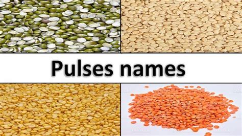 Pulses and Their Names in English ||Learn all cereals and pulses name ...