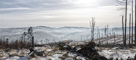 Winter Poland Mountains - Free photo on Pixabay