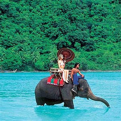 Bucketlist » Ride an Elephant in Thailand (Official Bucket List)