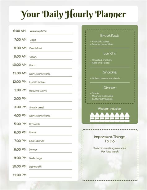 Daily Hourly Schedule Template - Venngage