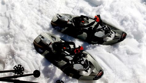 9 Best Snowshoes in 2022 - My Pro Scooter