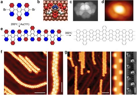 On-surface synthesis of width-modulated graphene nanoribbons. (a)-(d ...