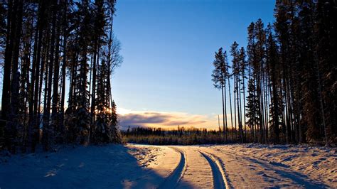 sunset, Forest, Winter, Snow Wallpapers HD / Desktop and Mobile Backgrounds