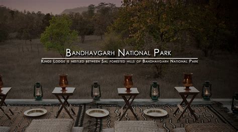 Bandhavgarh National Park