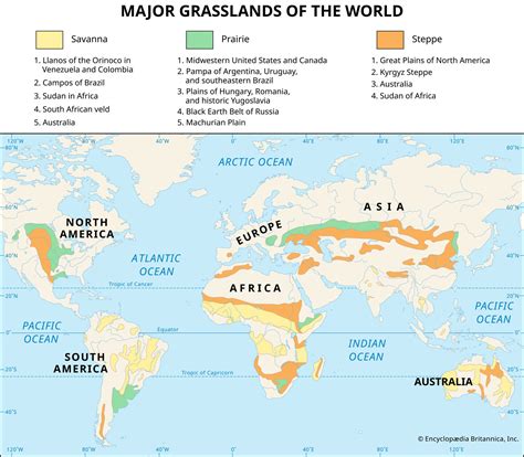 Savanna On World Map - Guenna Holly-Anne