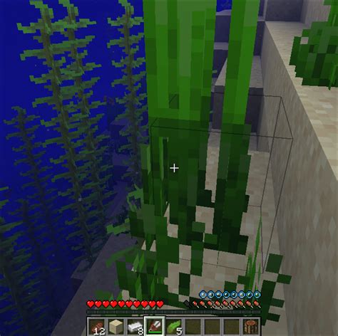 what do baby turtles eat in minecraft - Elate Blogger Photogallery